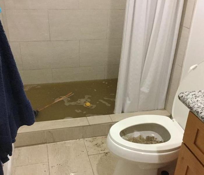 Overflowed Toilet